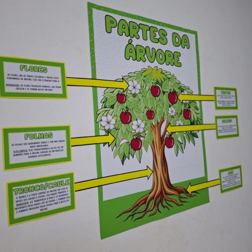 CARTAZ PARTES DA ÁRVORE